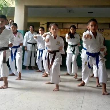 Karatekas infantiles y juveniles durante exhibición en instituto secundario en Venezuela