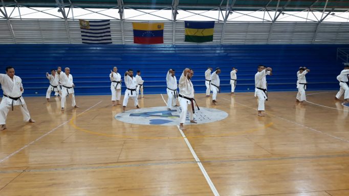 Instructores de karate entrenando en seminario