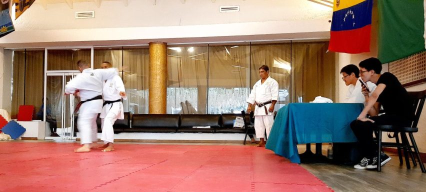 Goshin Bunkai Jutsu