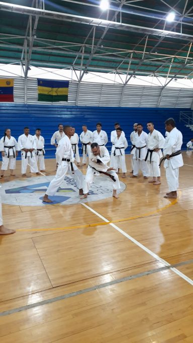 Instructor de Karate explica los principios de movimiento detras de una tecnica a grupo de cinturones negros