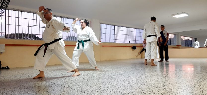 Karateka adulta recibe lección personal de su profesor mientras otro alumno recibe directrices de otro sensei