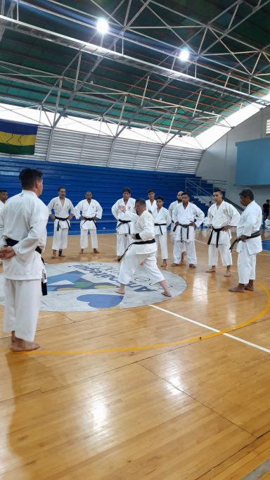 Instructor de Karate explica los principios de movimiento detras de una tecnica a grupo de cinturones negros